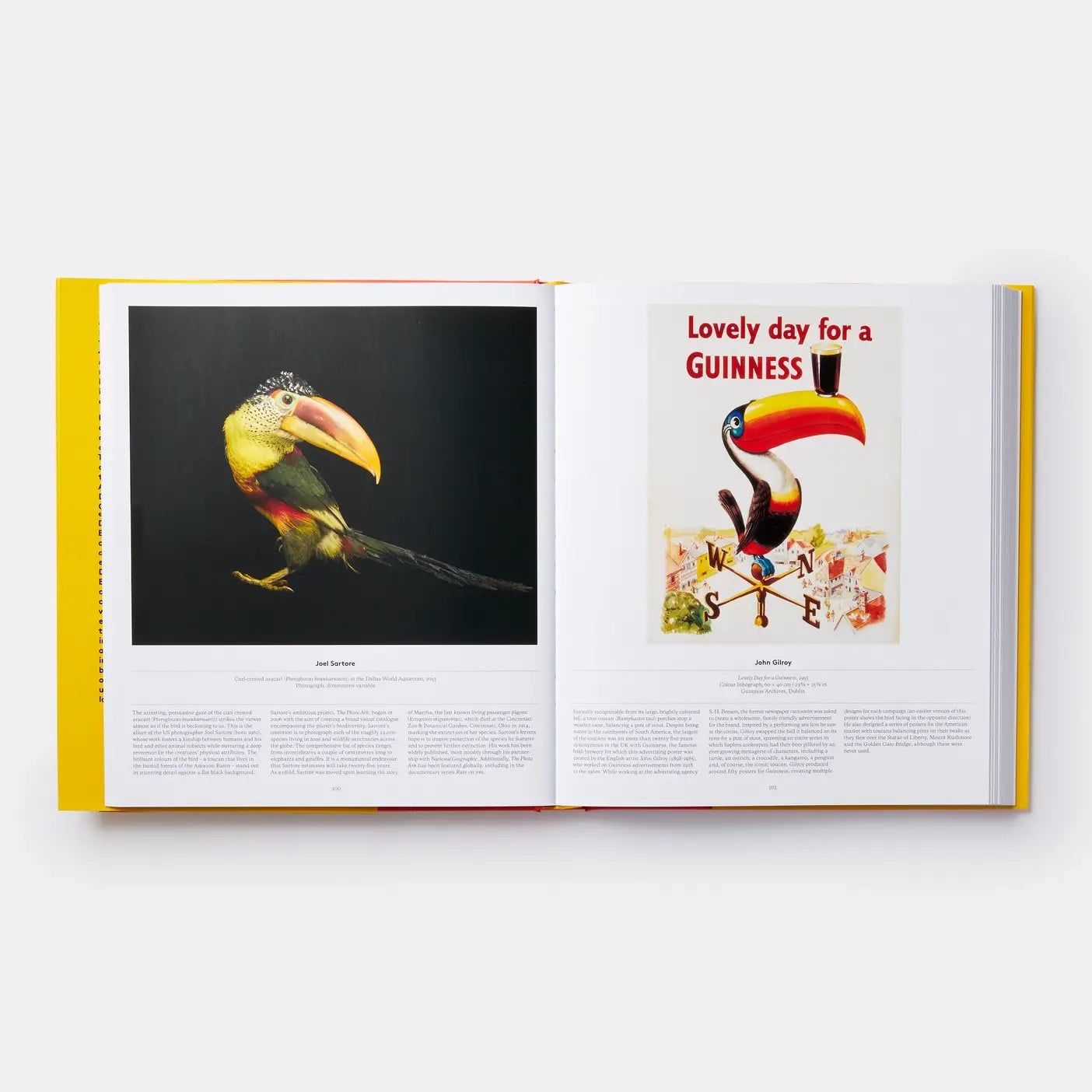 Bird: Exploring The Winged World