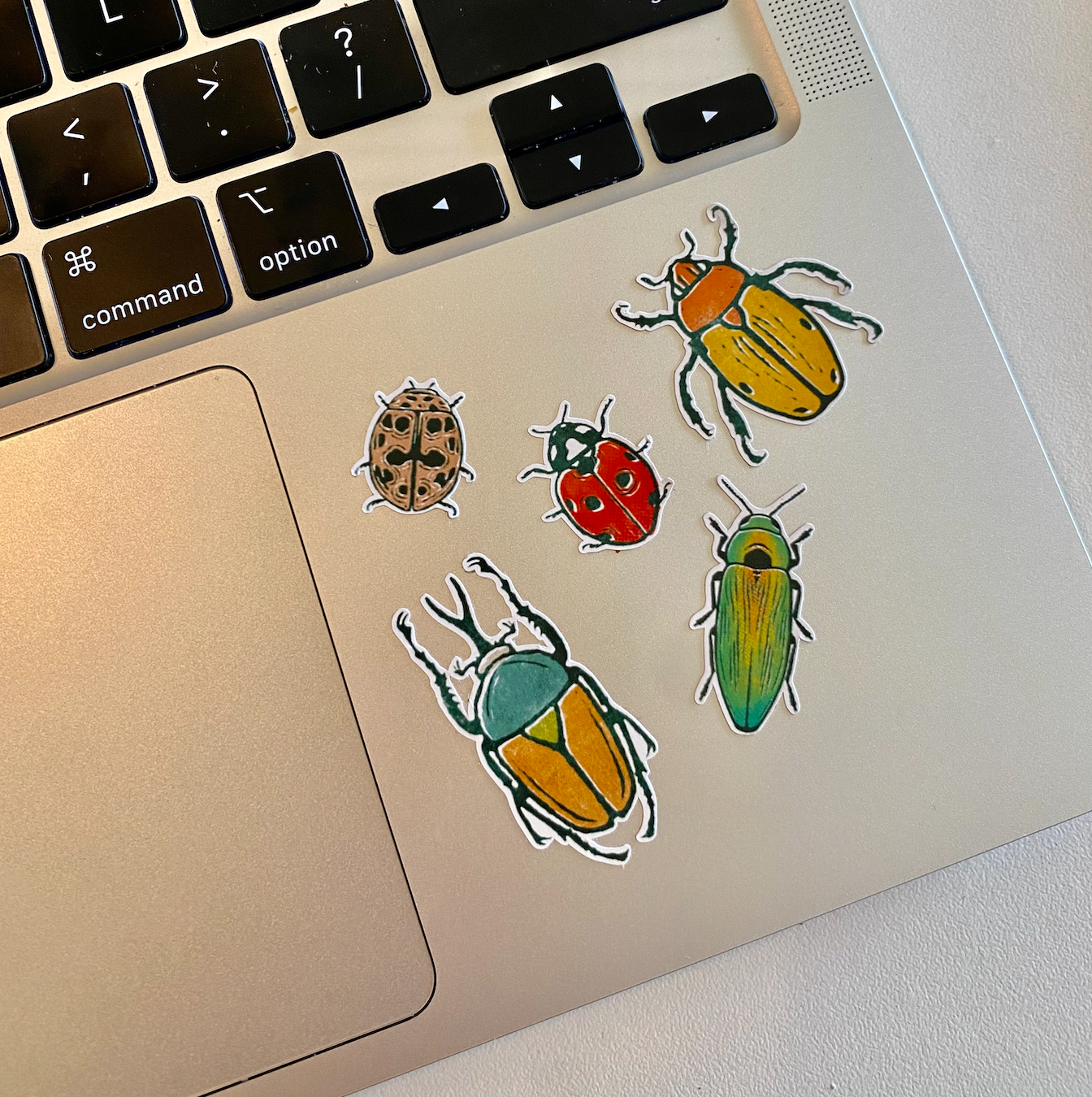 Beetles Sticker Sheet