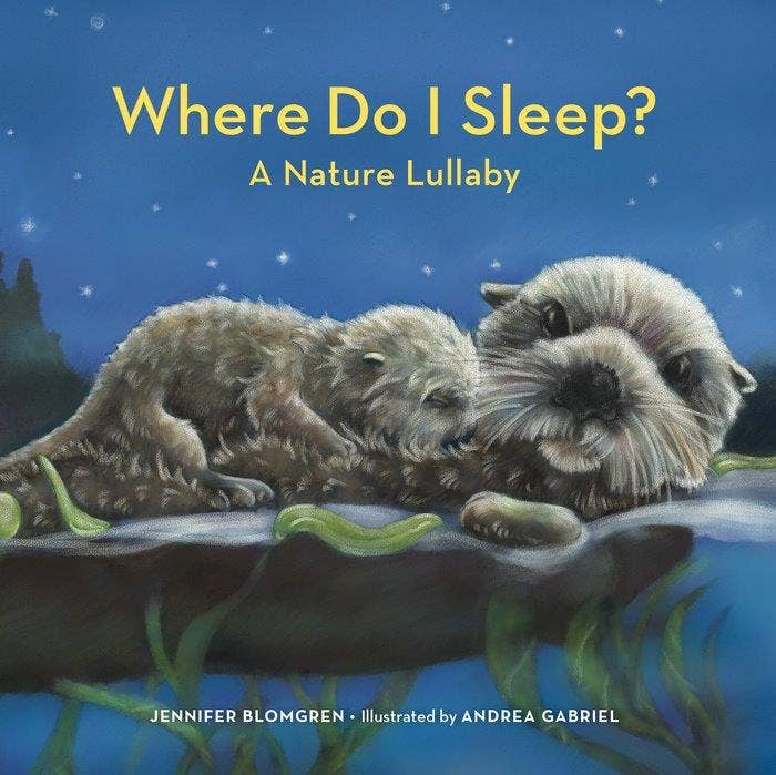 Where Do I Sleep? by Jennifer Blomgren