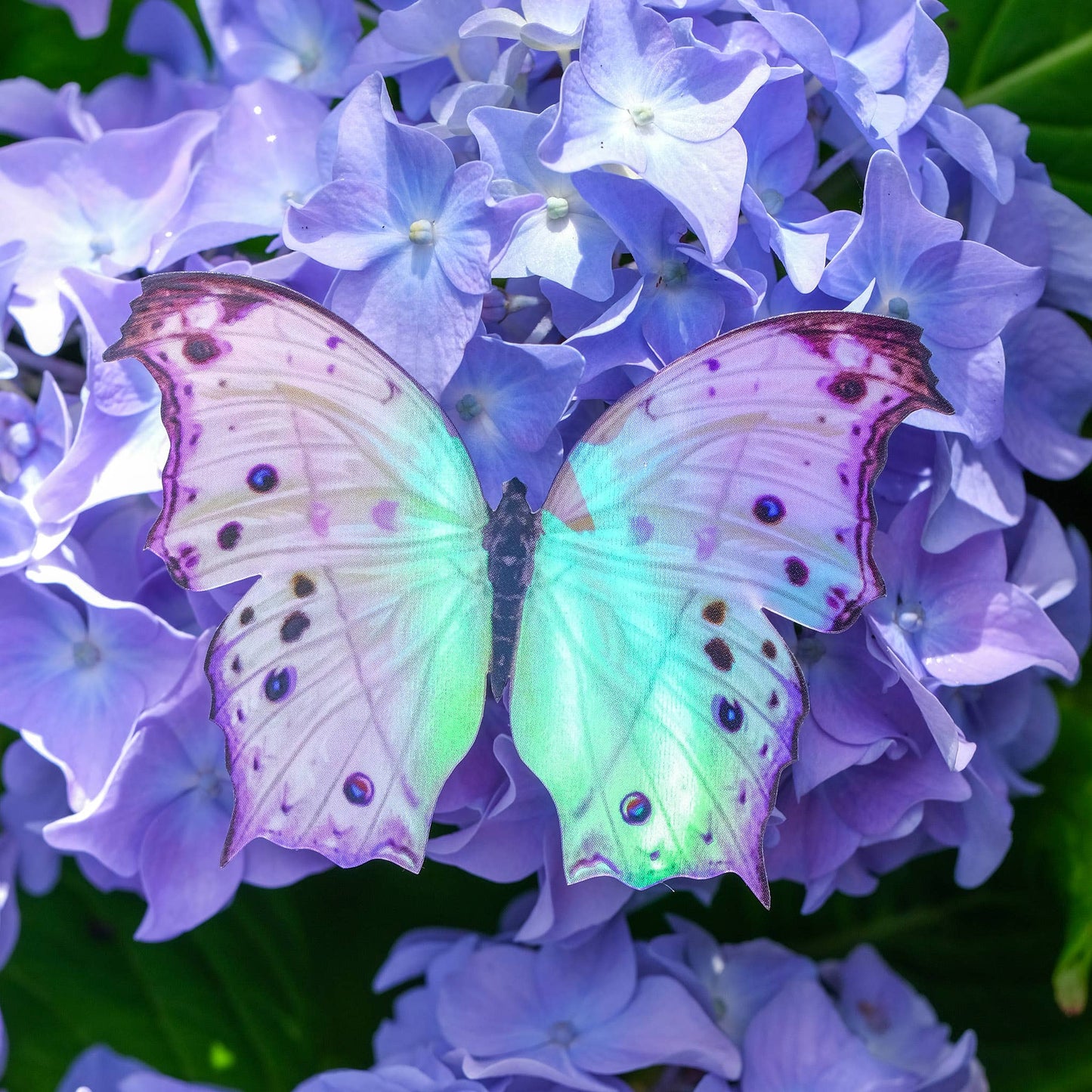 Holographic Butterfly Sticker Set 'Wanderer'