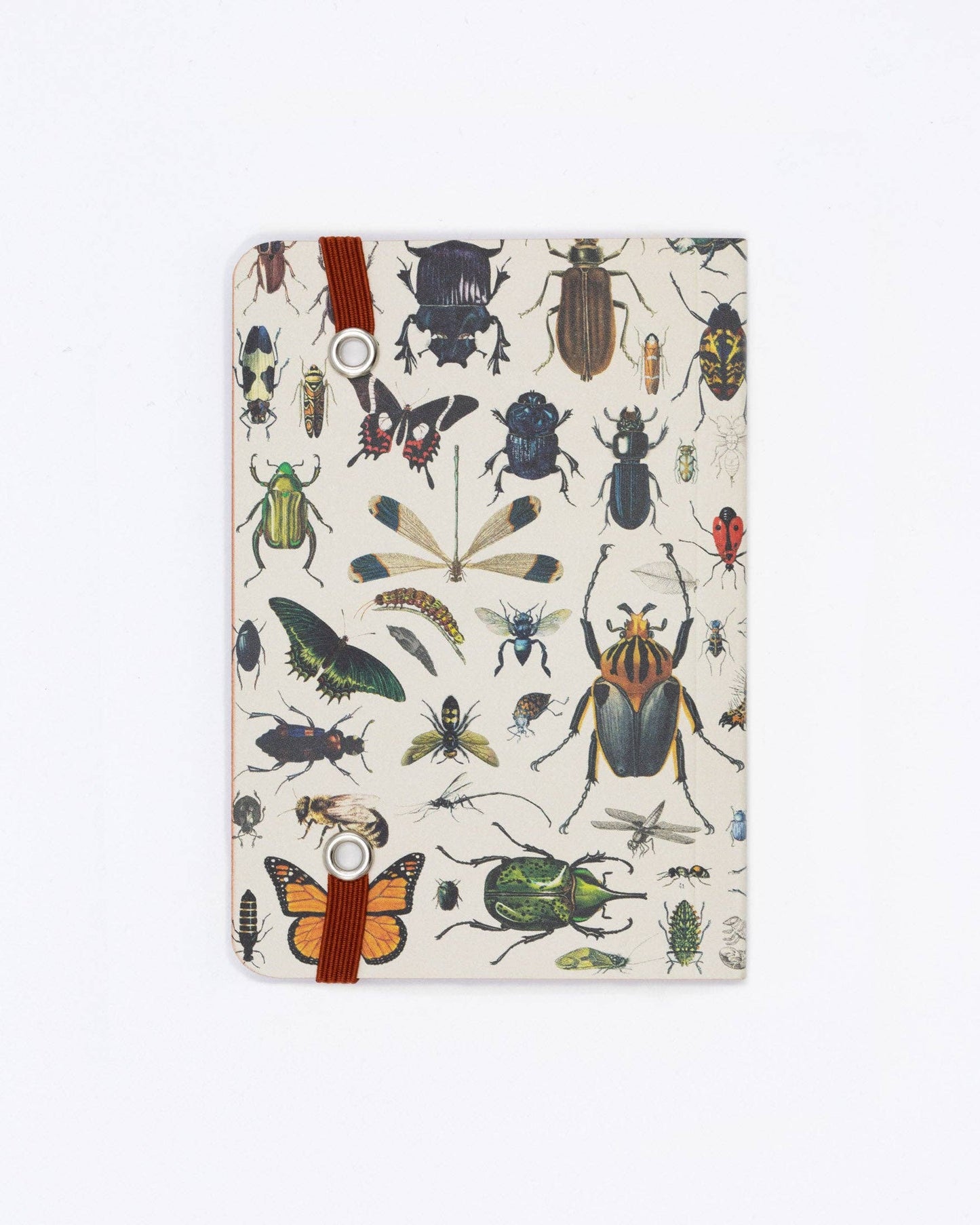 Butterflies & Beetles Softcover Mini Notebook