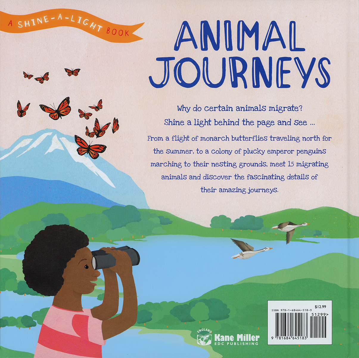 Shine-A-Light: Animal Journeys