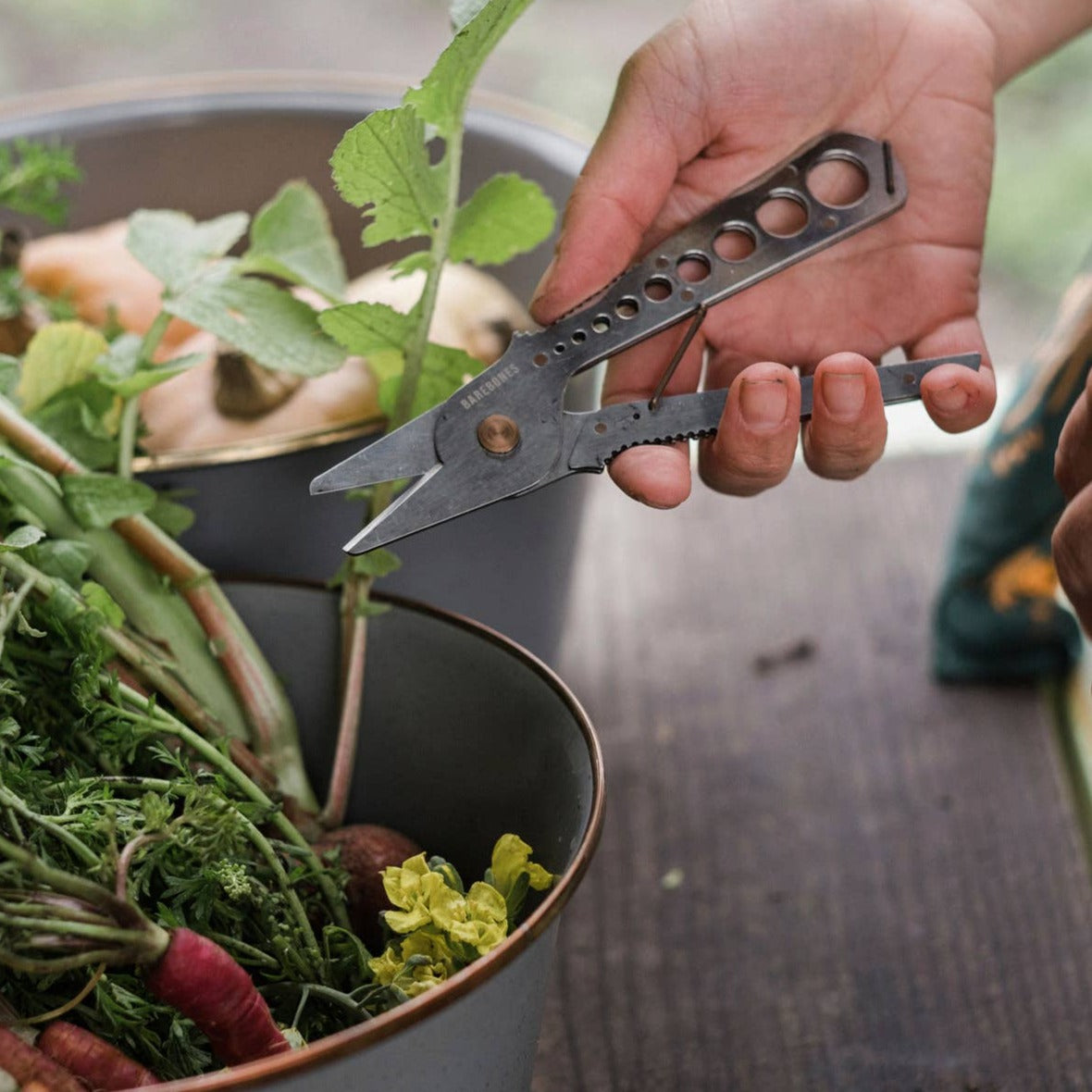 Herb Harvest & Strip Tool