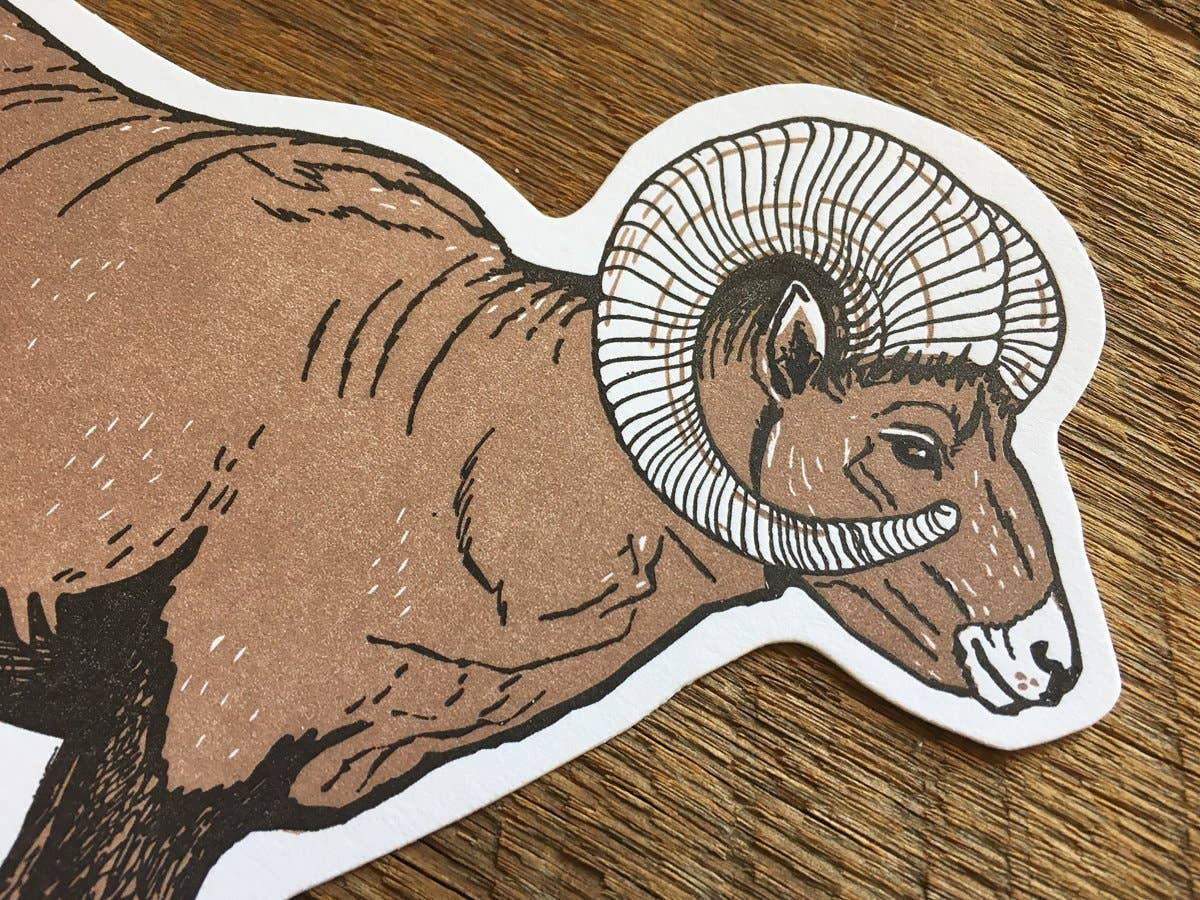 Bighorn Sheep Postcard