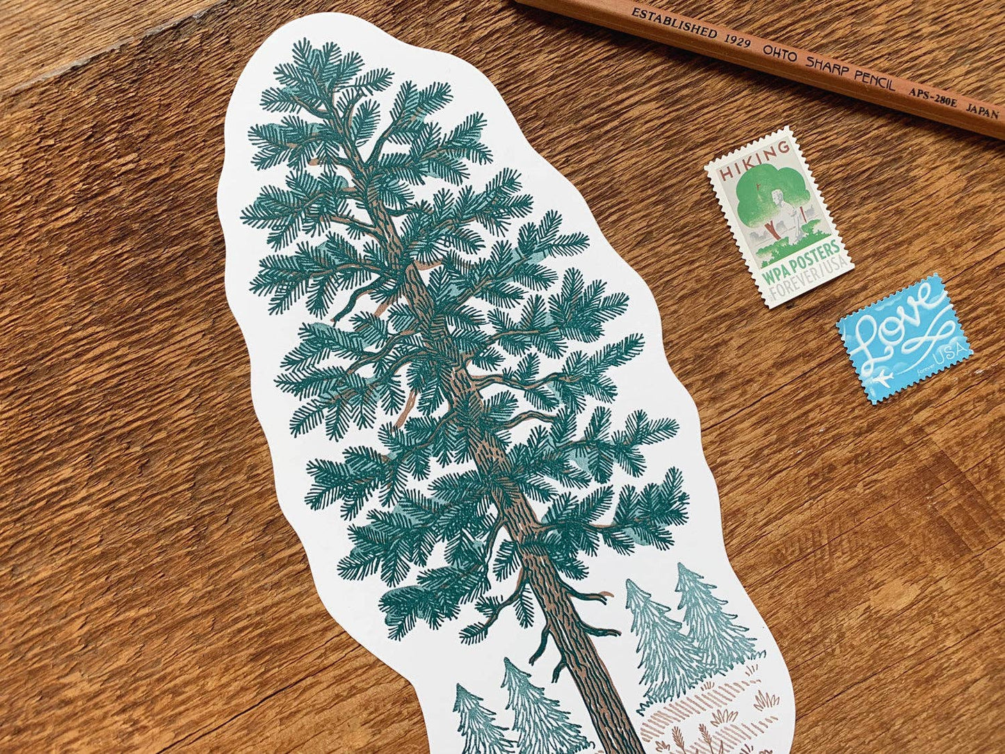 Pine Tree Postcard