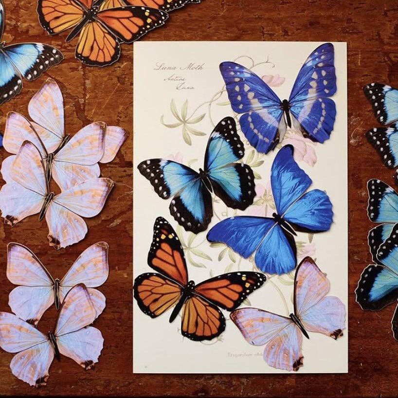 Morphos and Monarch Butterfly Set