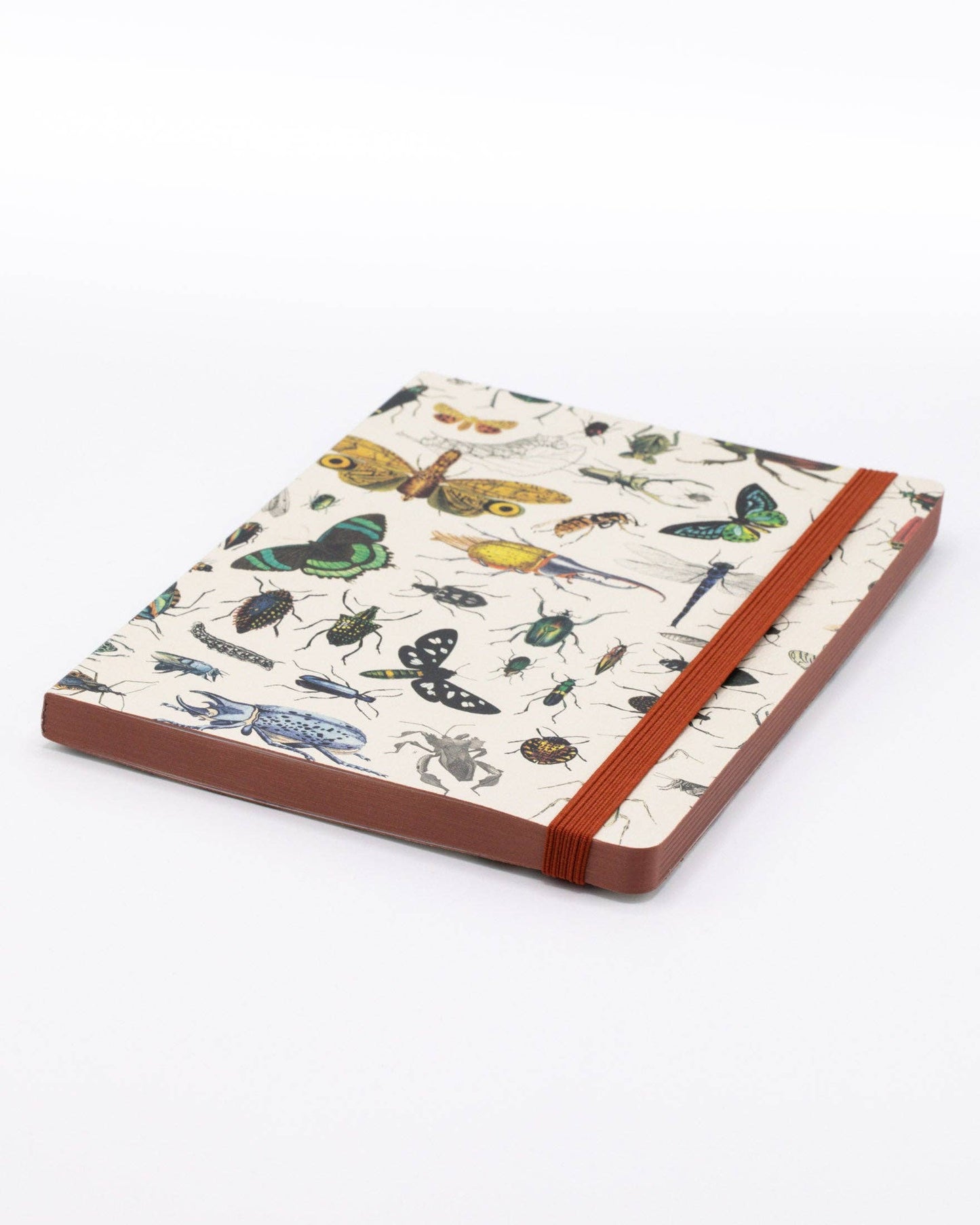 Butterflies & Beetles Softcover Notebook