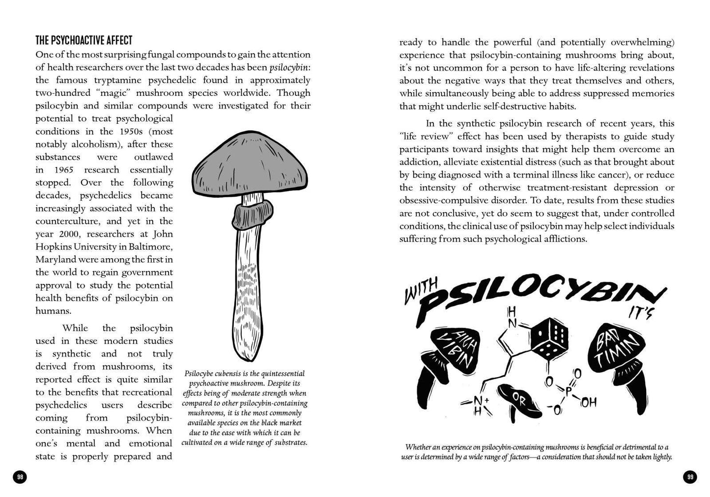 Mycocultural Revolution: Transforming Our World with Fungi