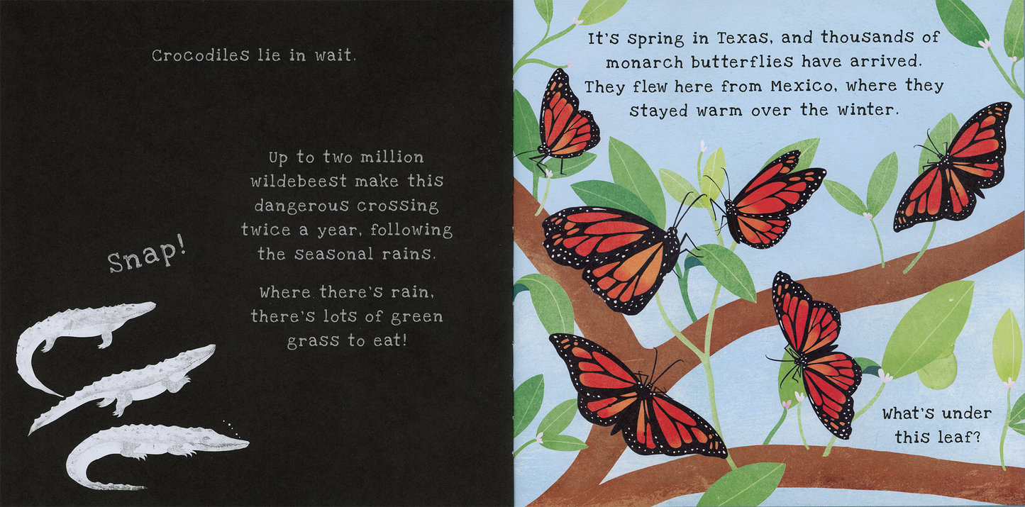 Shine-A-Light: Animal Journeys