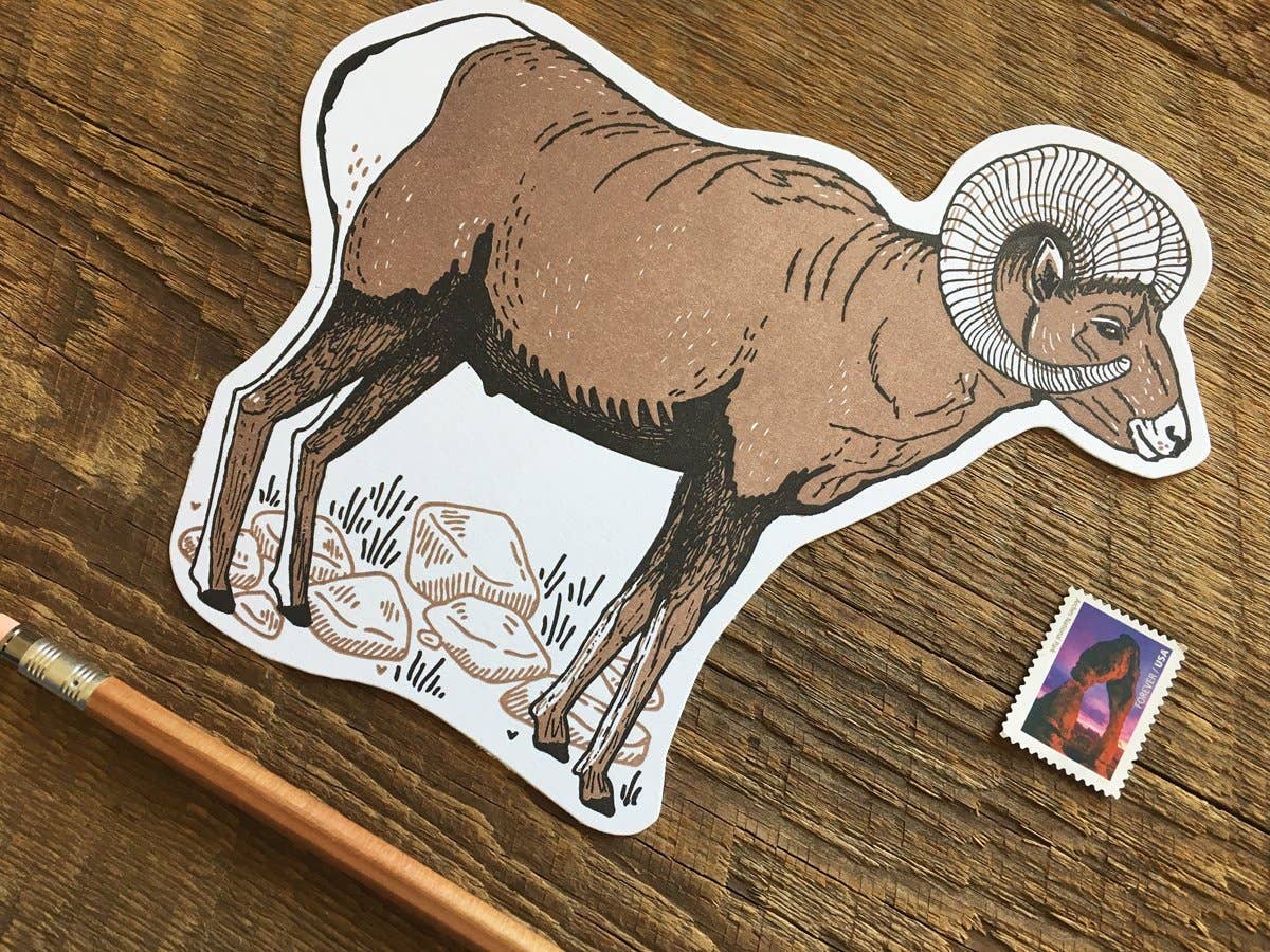 Bighorn Sheep Postcard