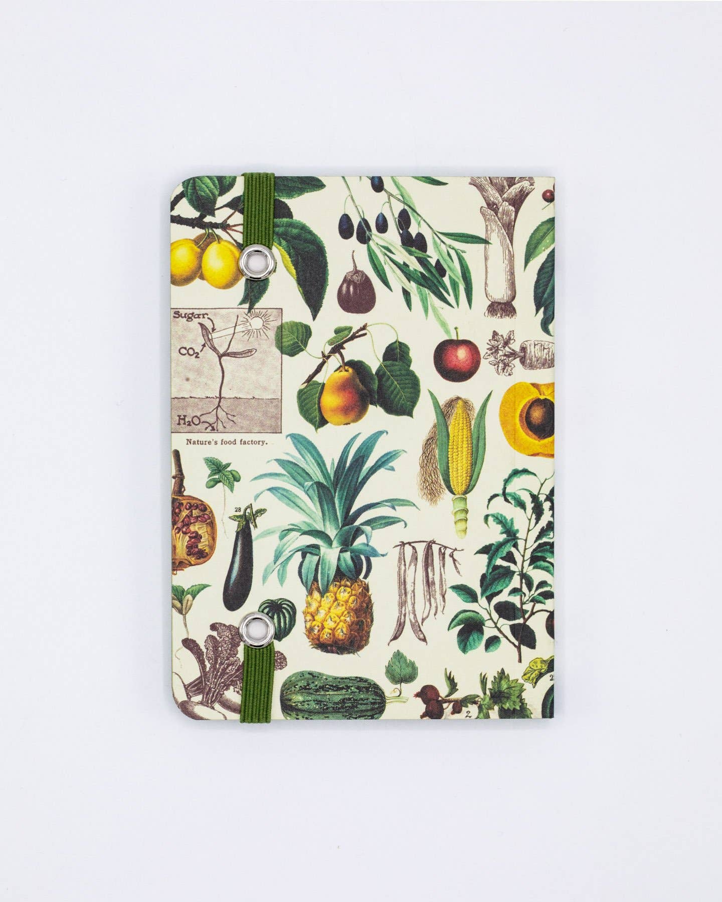 Edible Flora Softcover Mini Notebook