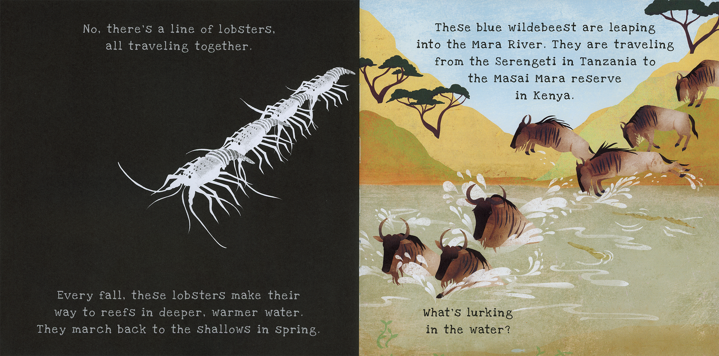 Shine-A-Light: Animal Journeys