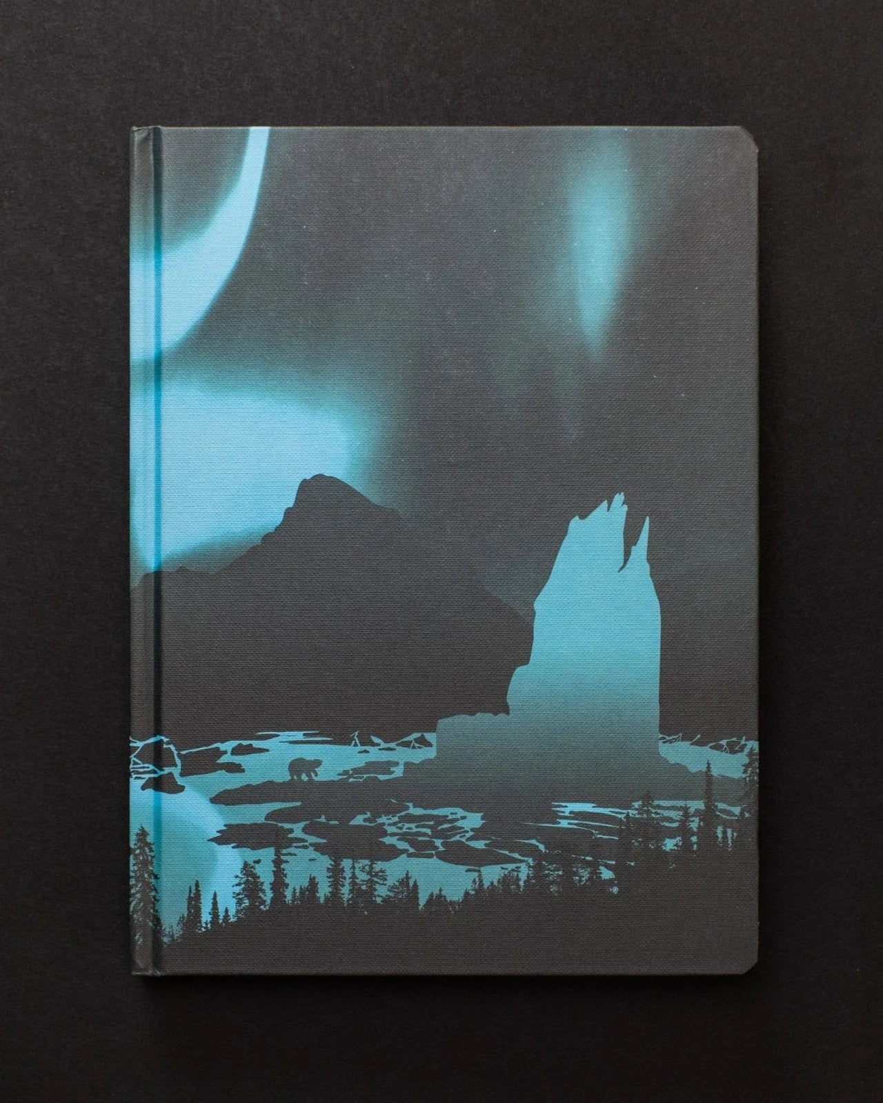 Arctic Ice Dark Matter Hardcover Notebook