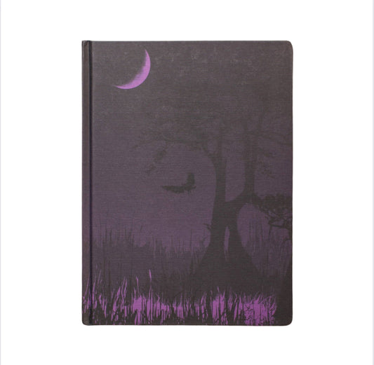 Midnight Swampland Dark Matter Hardcover Notebook