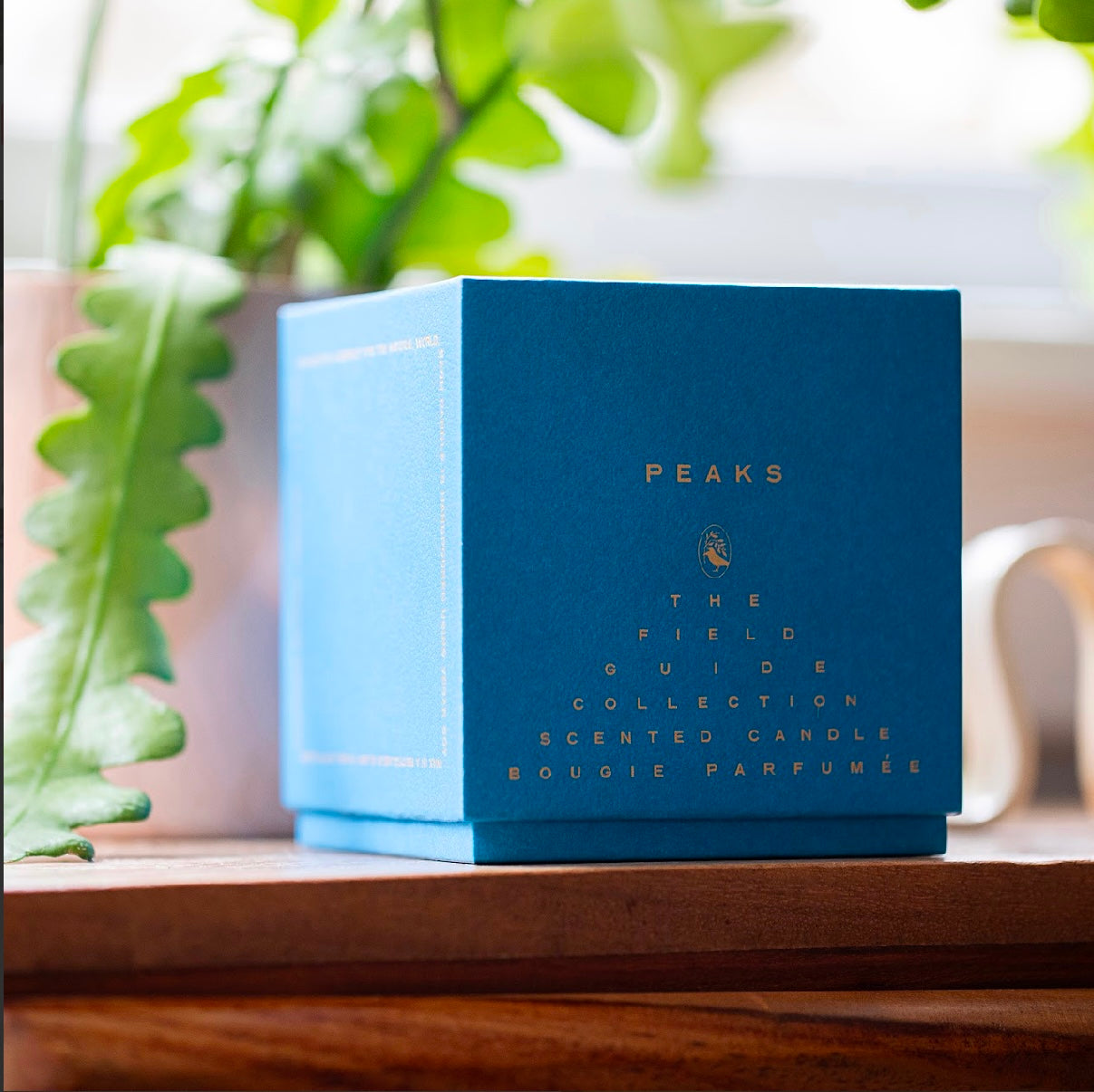 Peaks Signature Candle