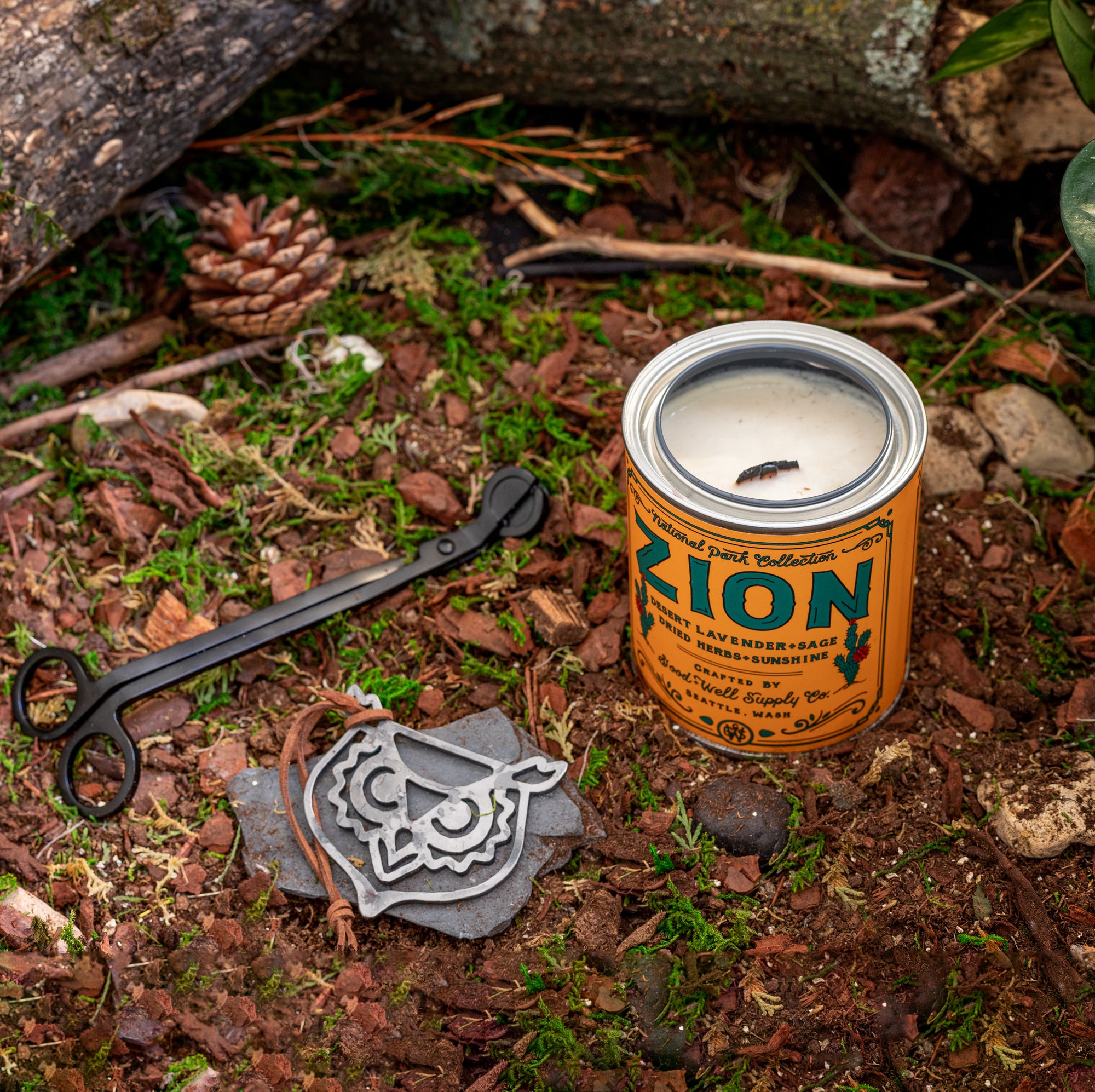 Zion National Park Candle – Good & Well Supply Co.