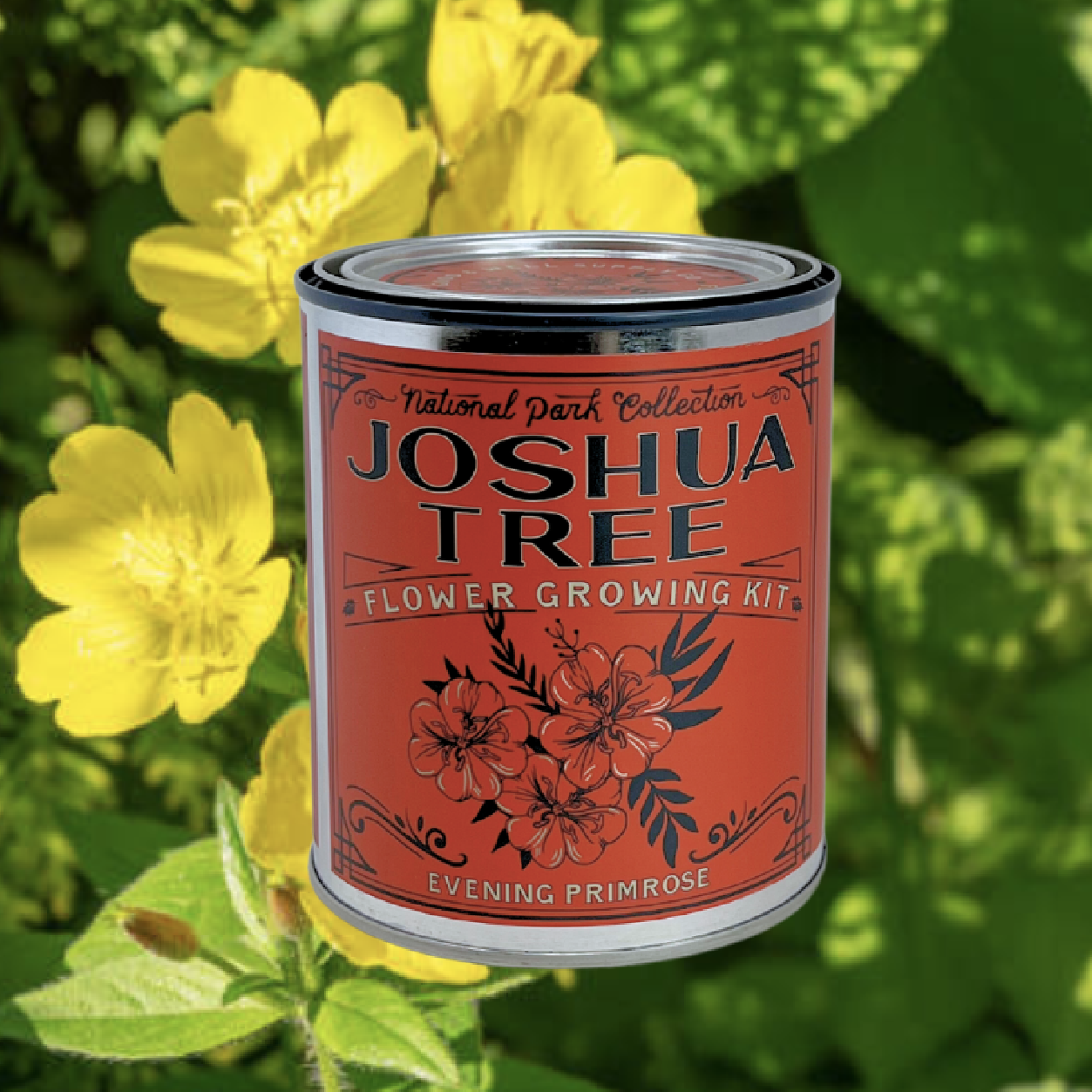 National Park Flower Growing Kit - Joshua Tree Evening Primrose