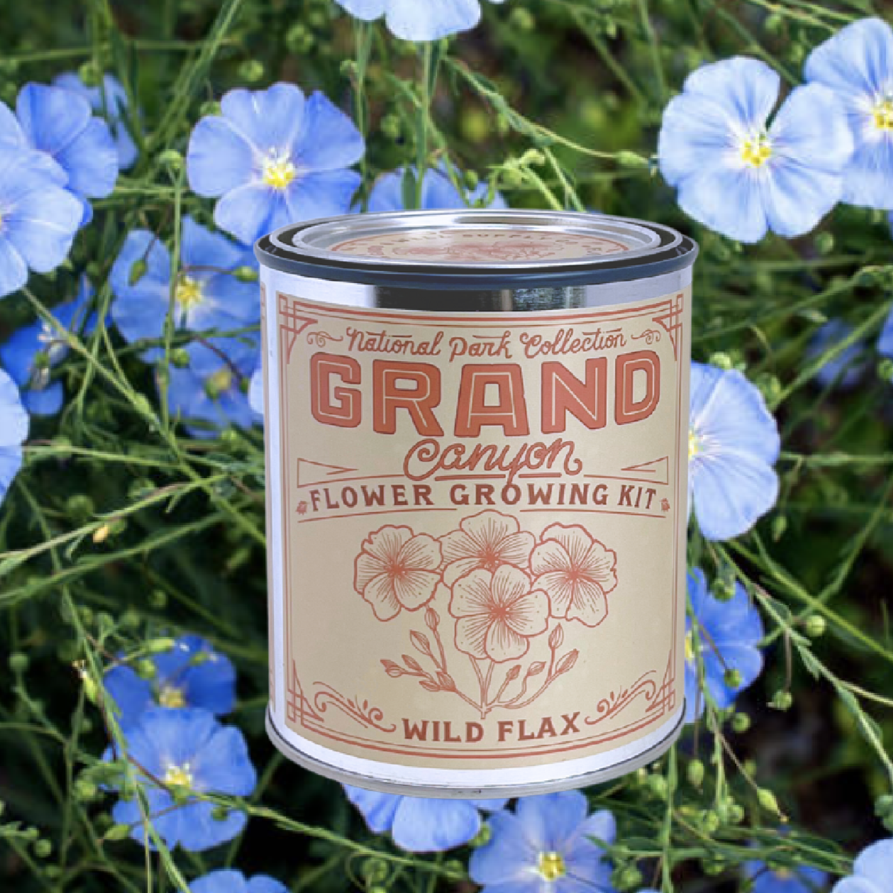 National Park Flower Growing Kit - Grand Canyon Wild Flax