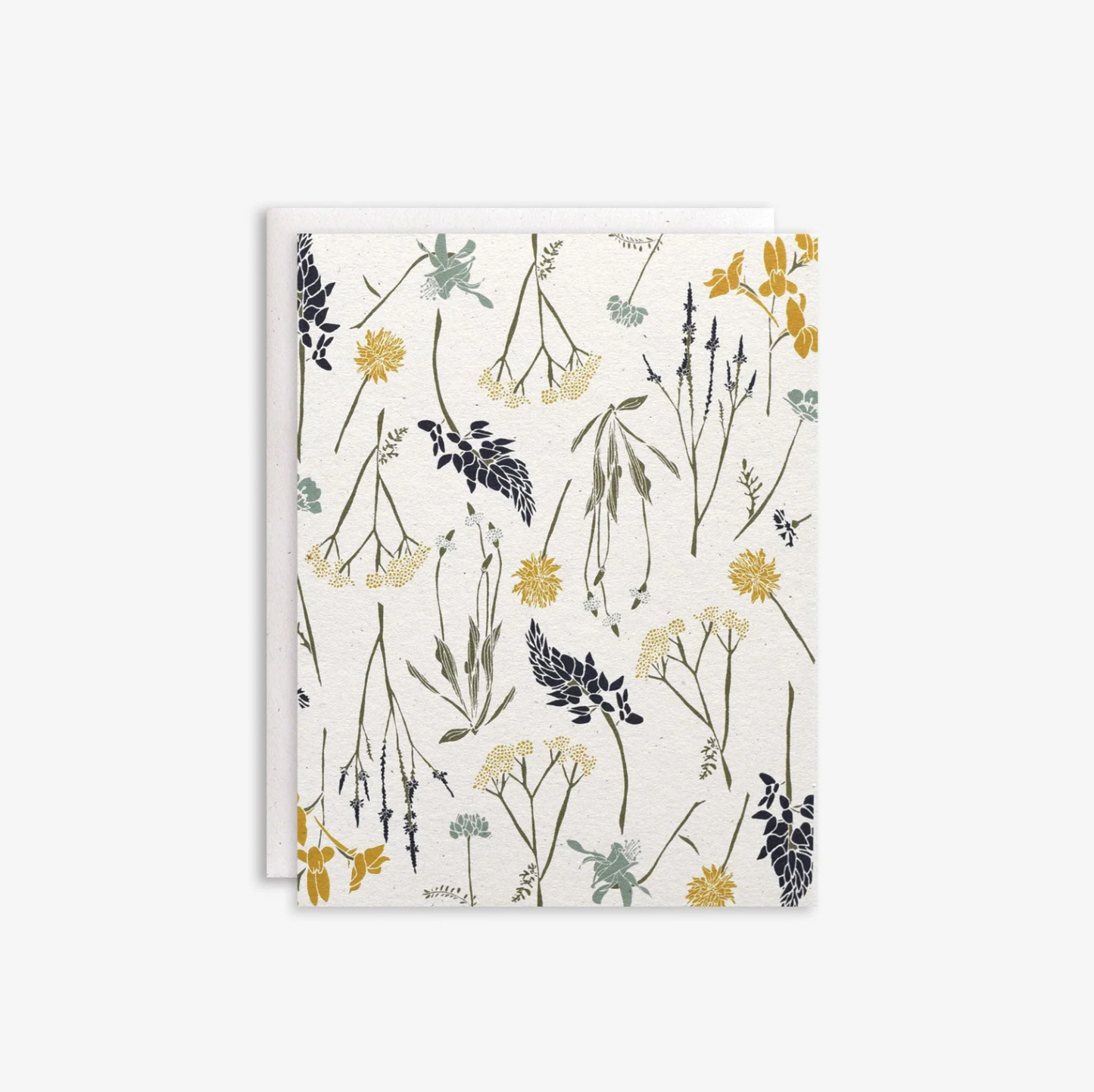Wildflowers by Region Cards Boxed Set