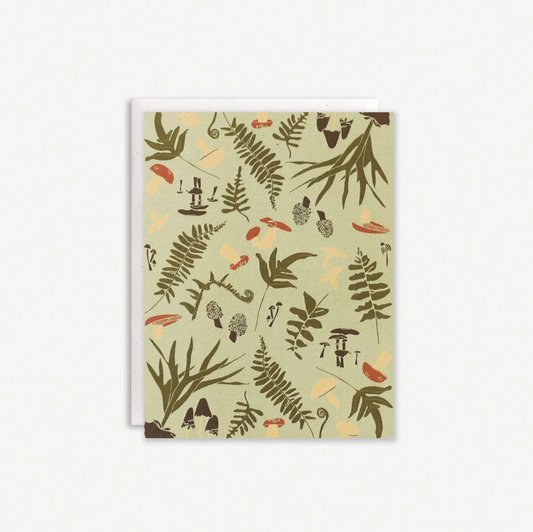 Forest Finds Cards Boxed Set