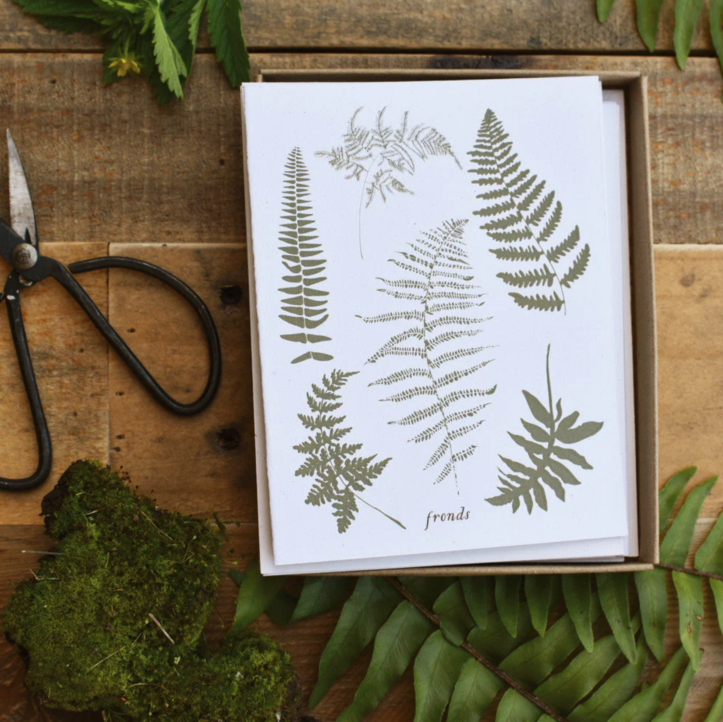 Fronds Cards Boxed Set