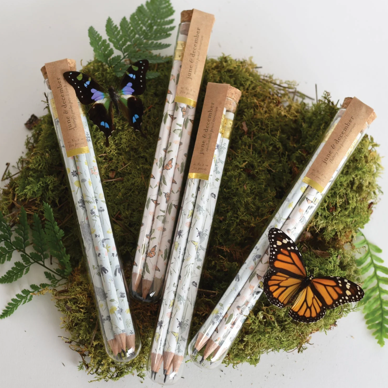 Swallowtails Pencil Terrarium