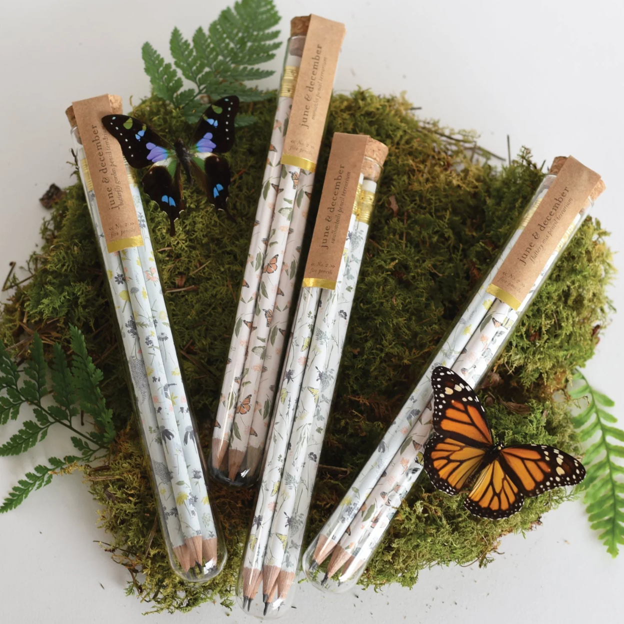 Circle of Life Pencil Terrarium