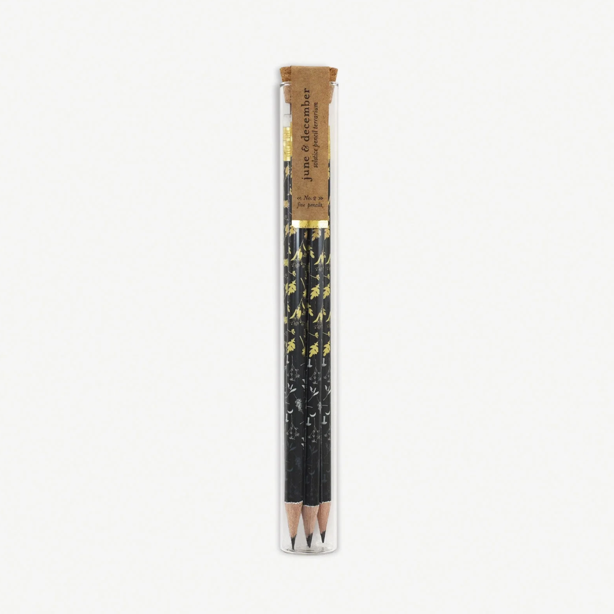 Firefly Pencil Terrarium