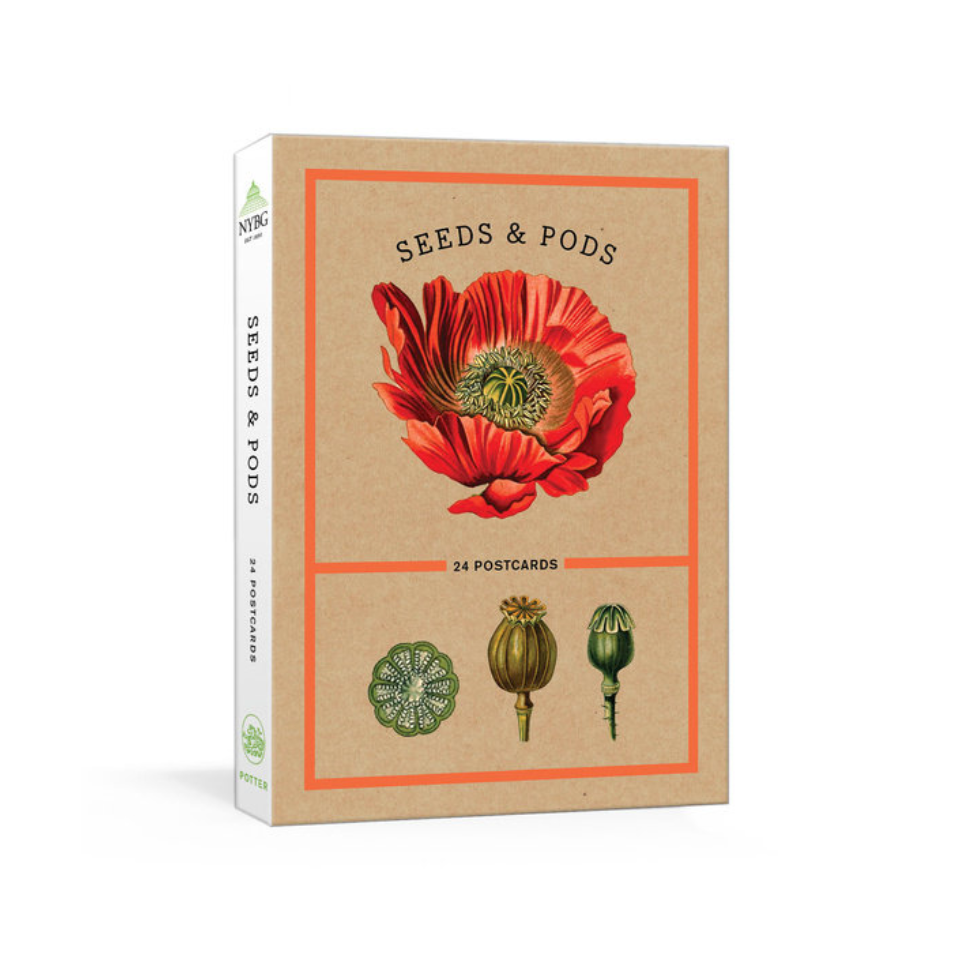 Seeds and Pods Postcard Set