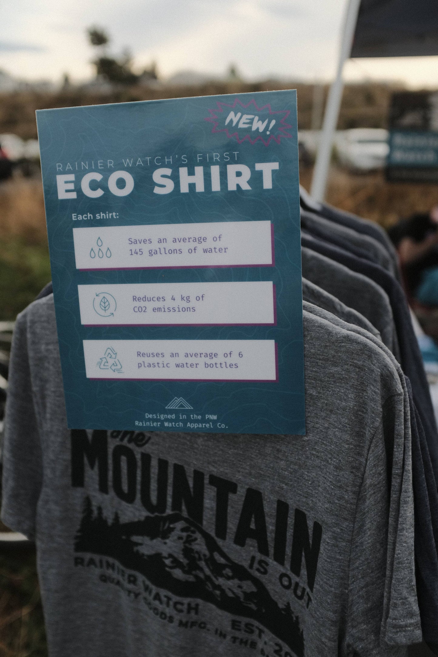 The Mountain Is Out Grey Tee