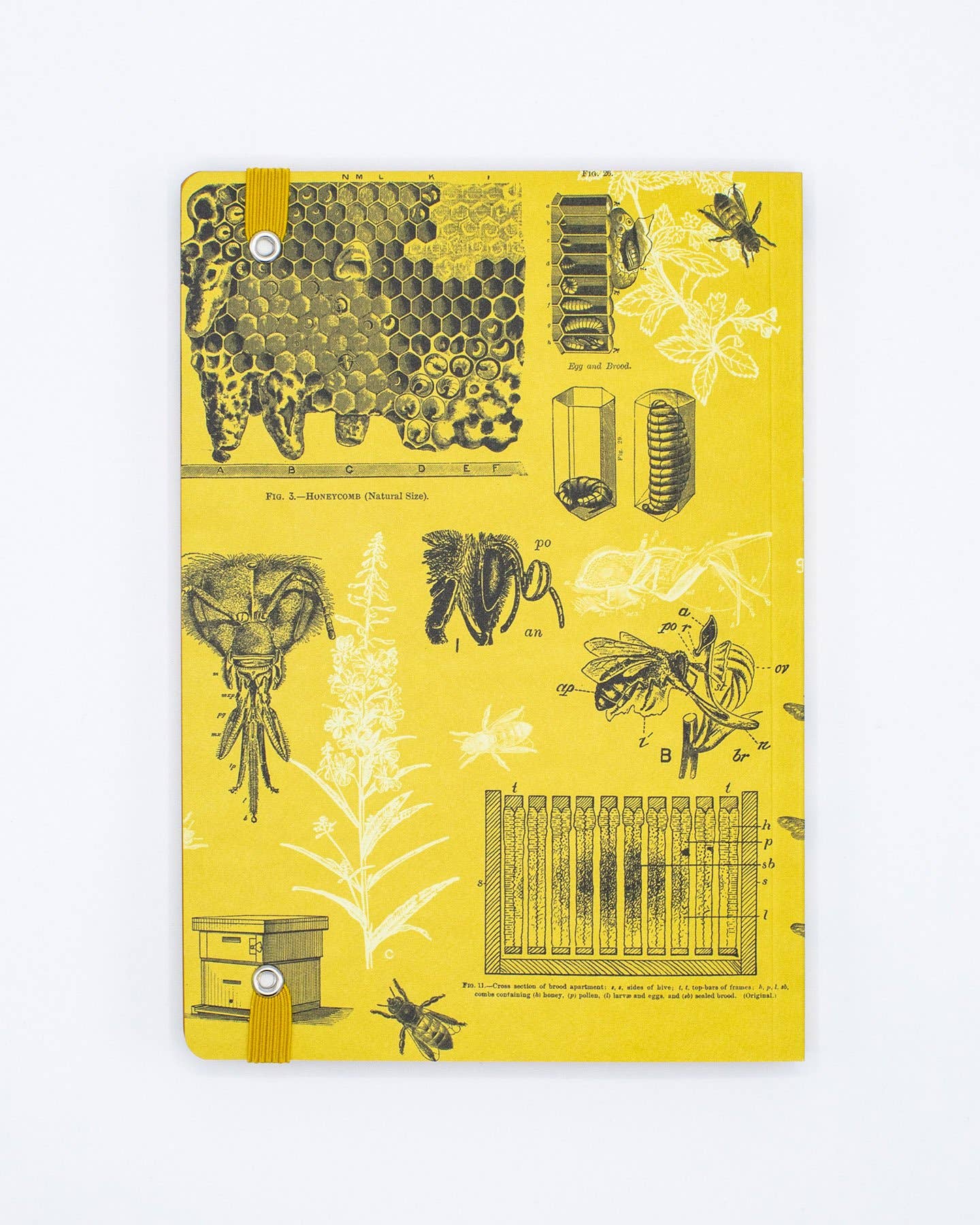 Honey Bee Softcover Notebook