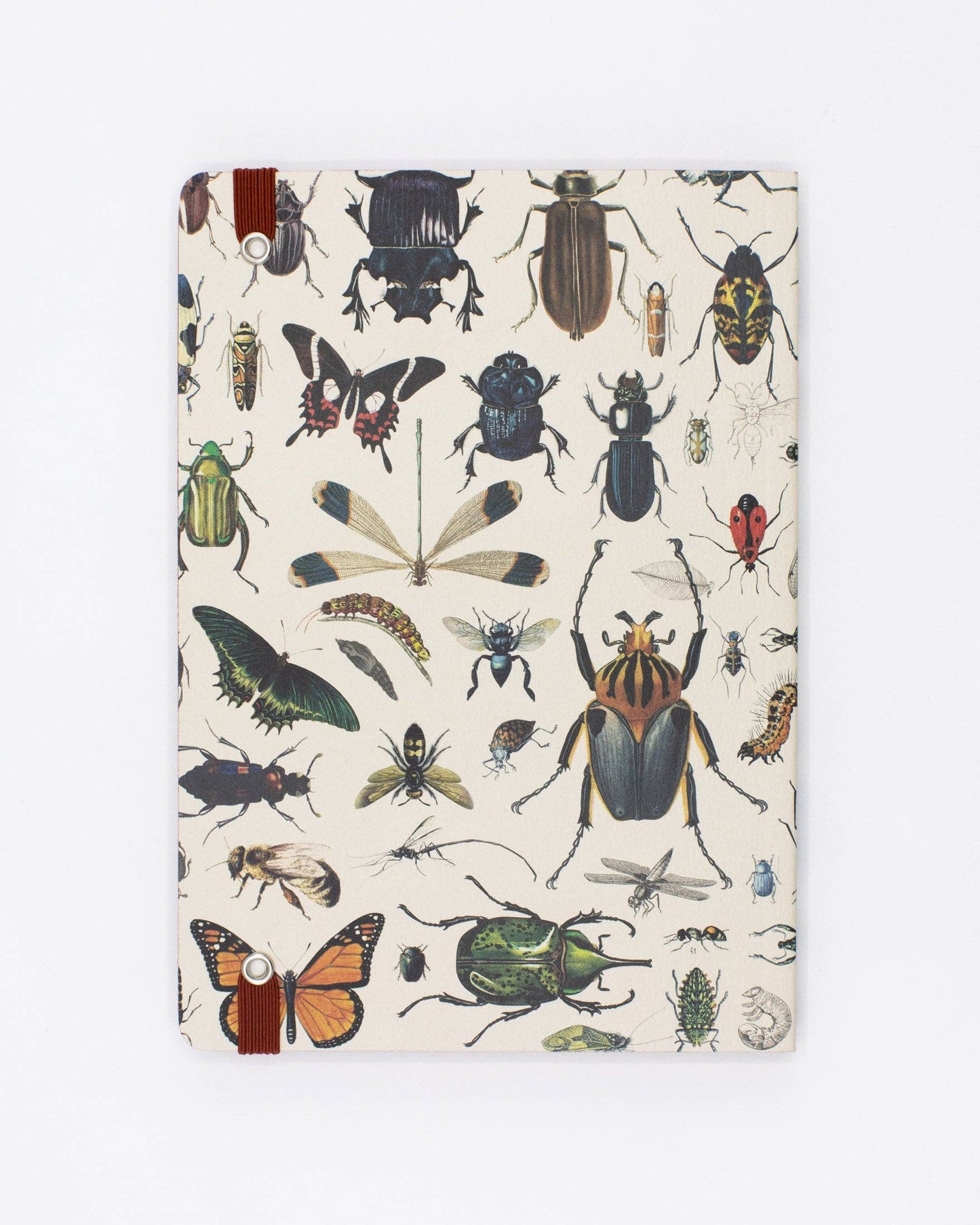 Butterflies & Beetles Softcover Notebook