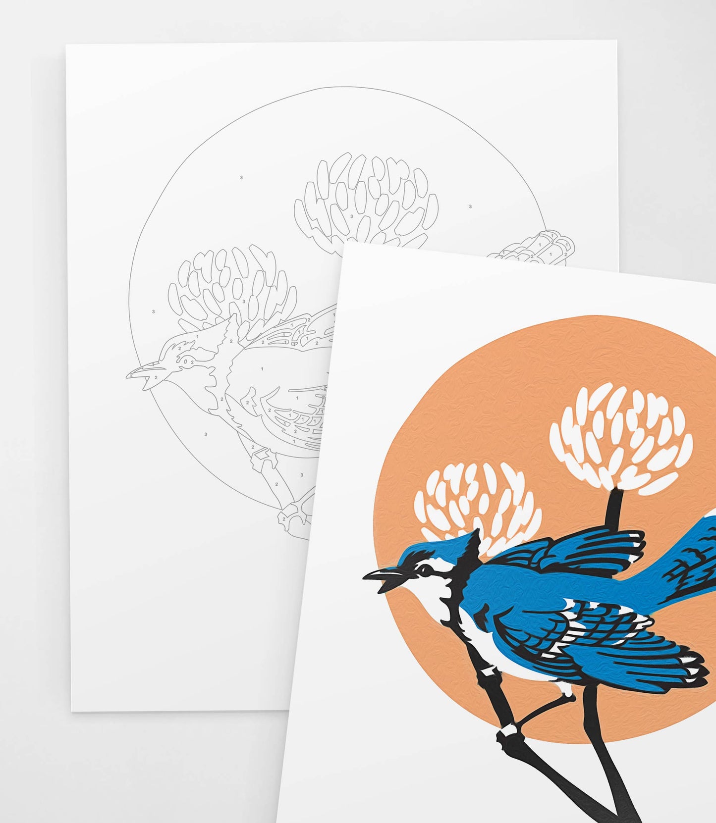 Spring Blue Jay | Modern Paint By Numbers Kit