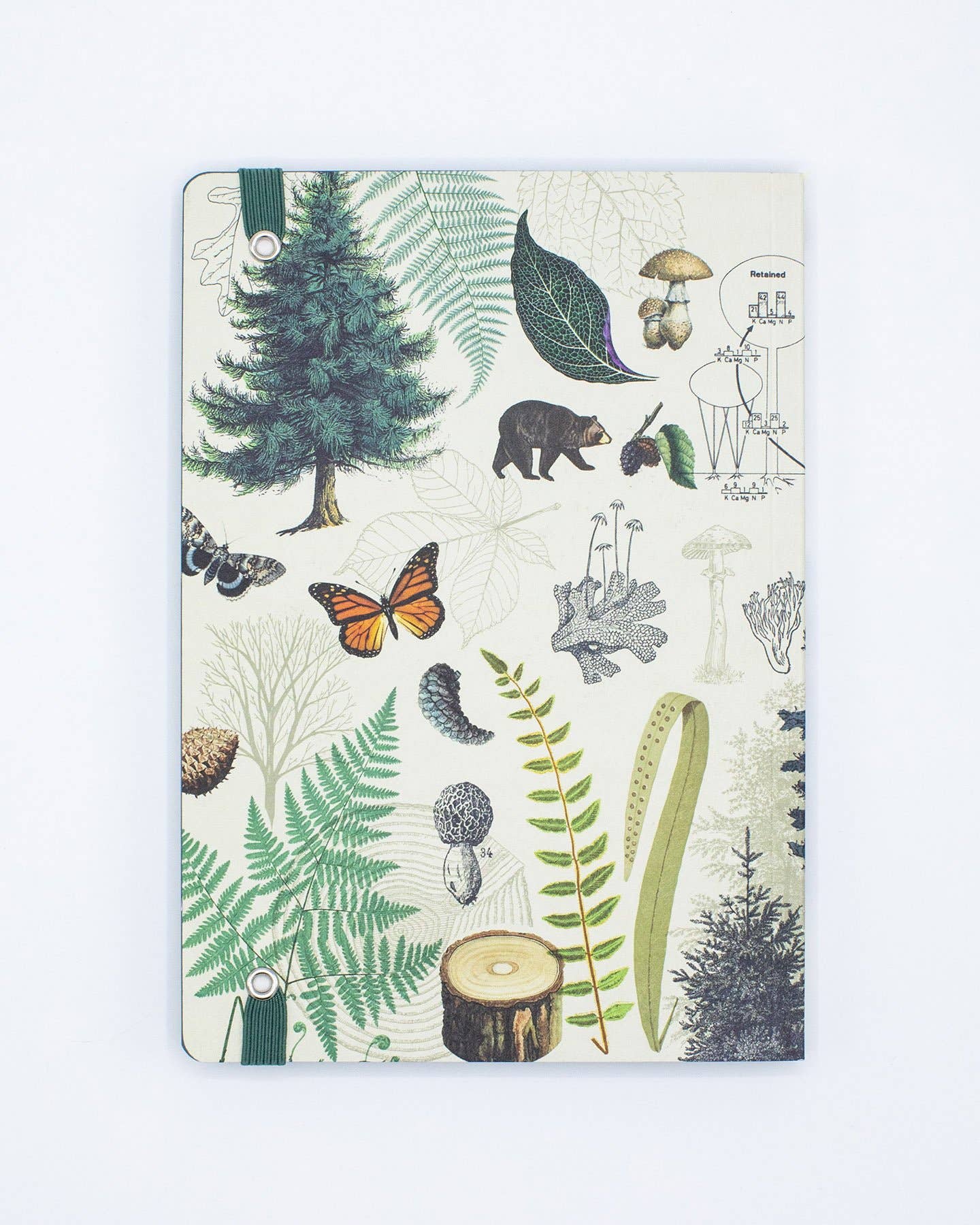 Into the Forest Softcover Notebook