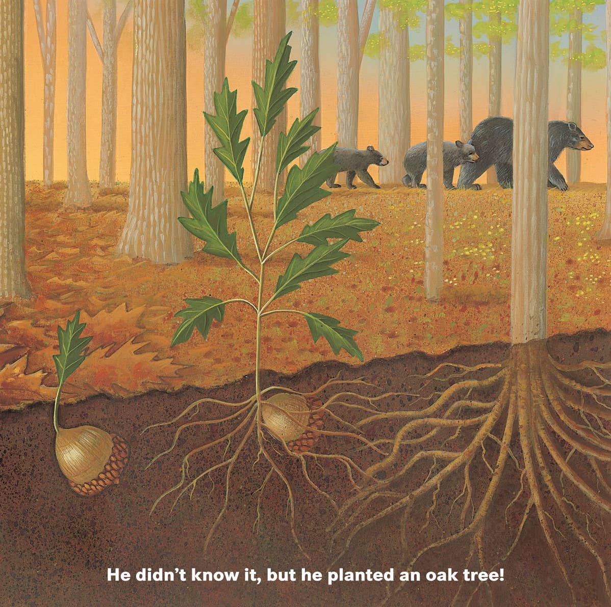 Who Will Plant a Tree?