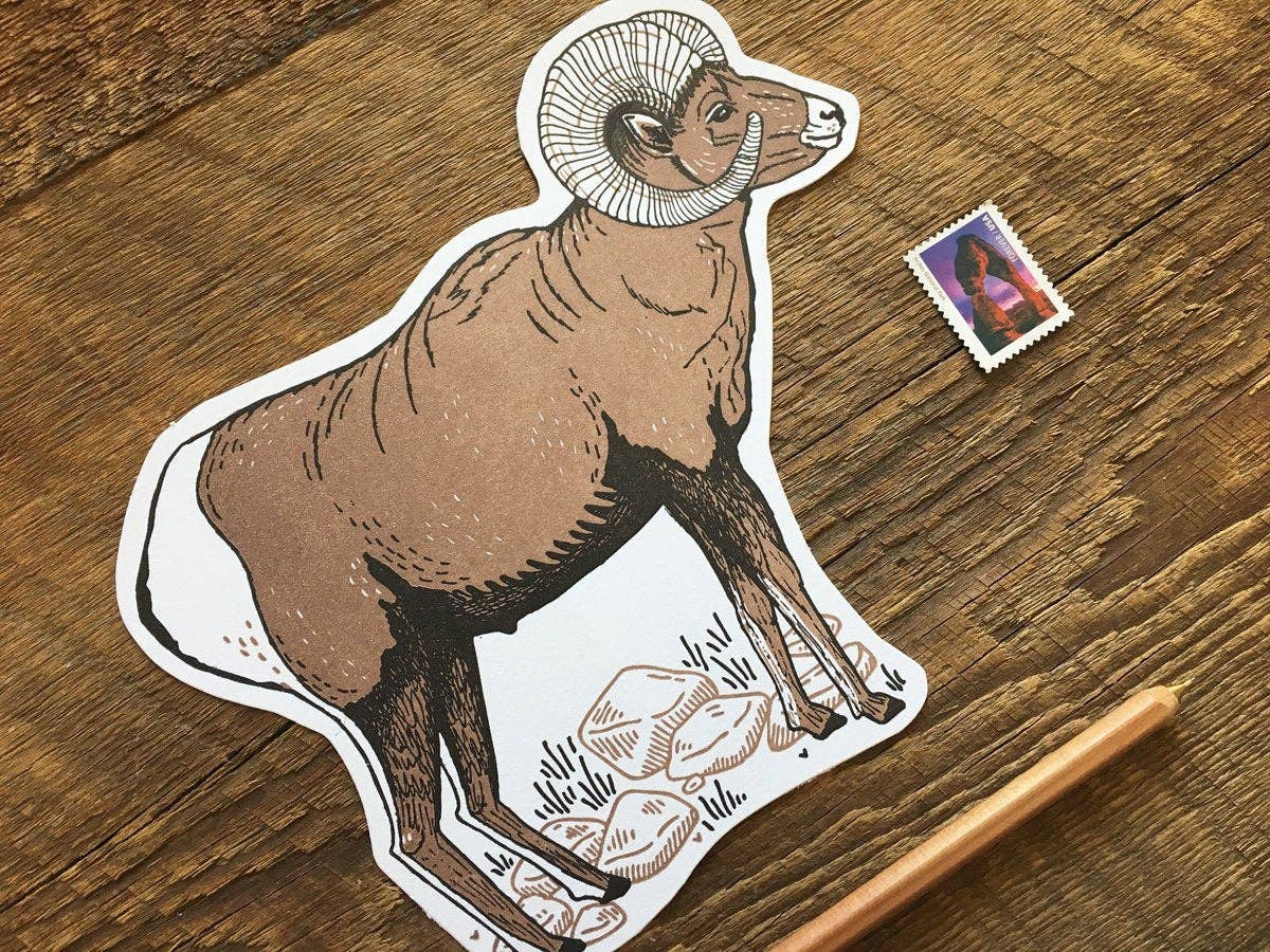 Bighorn Sheep Postcard