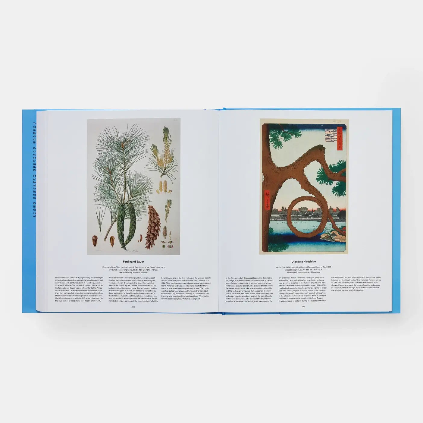 Tree: Exploring The Arboreal World