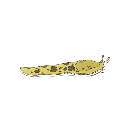 Large Slug Sticker
