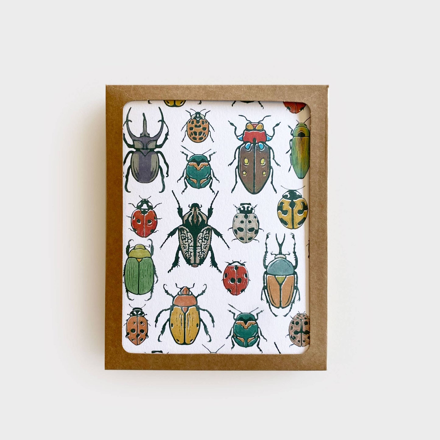 Beetle Boxed Card Set of 8