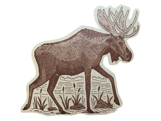 Moose Postcard