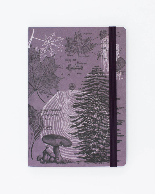 Forest at Dusk Softcover Notebook