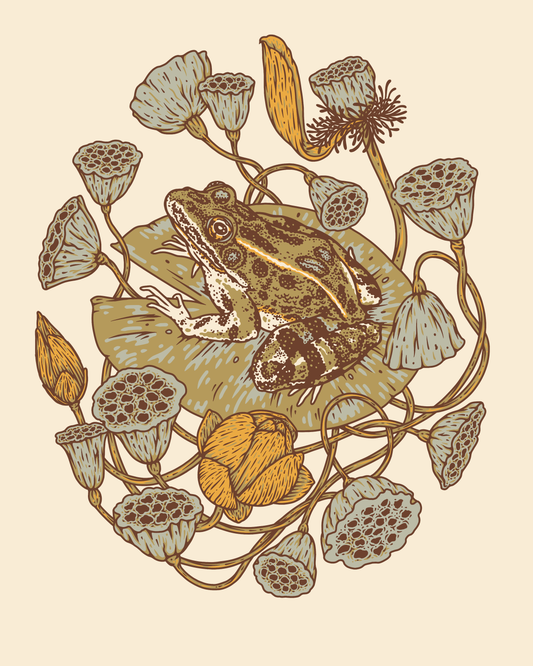 Frog, Lotus Pods, and Lotus Flowers 8x10" Giclee Print