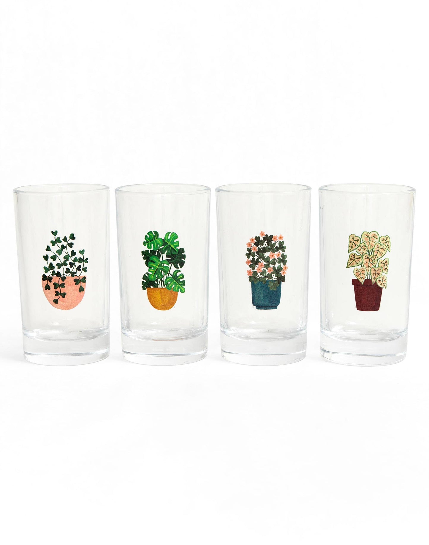 Houseplants Mini Juice Glass