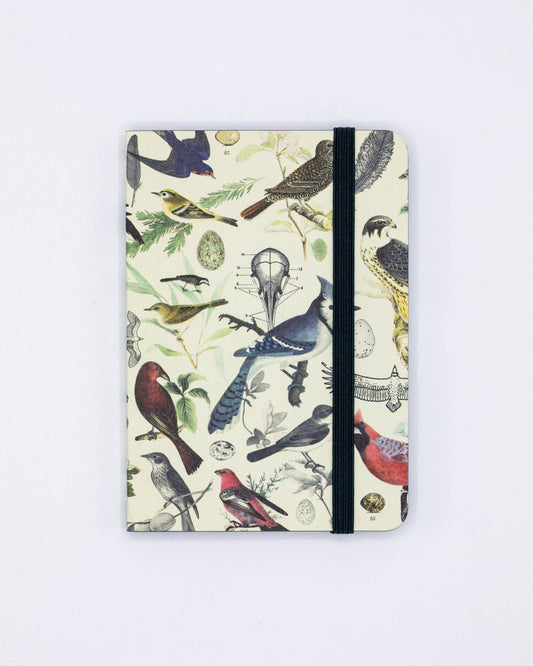 Birds & Feathers Softcover Mini Notebook