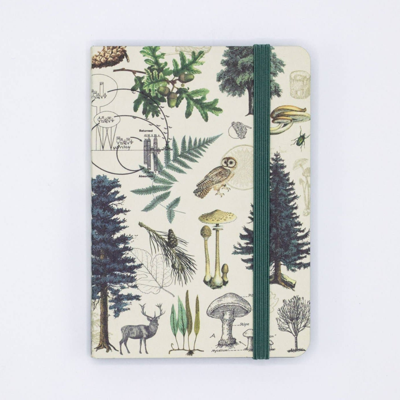 Into the Forest Softcover Mini Notebook