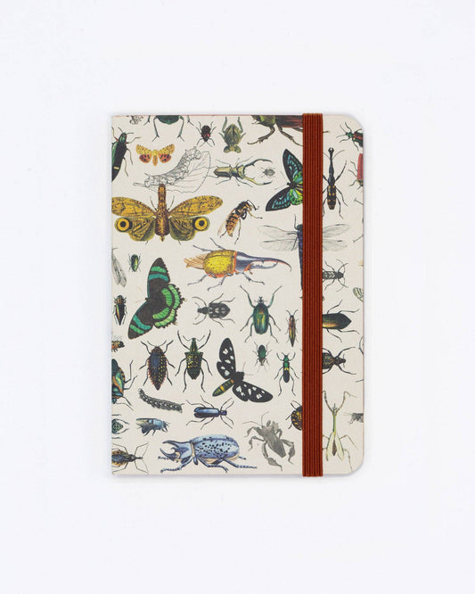 Butterflies & Beetles Softcover Mini Notebook