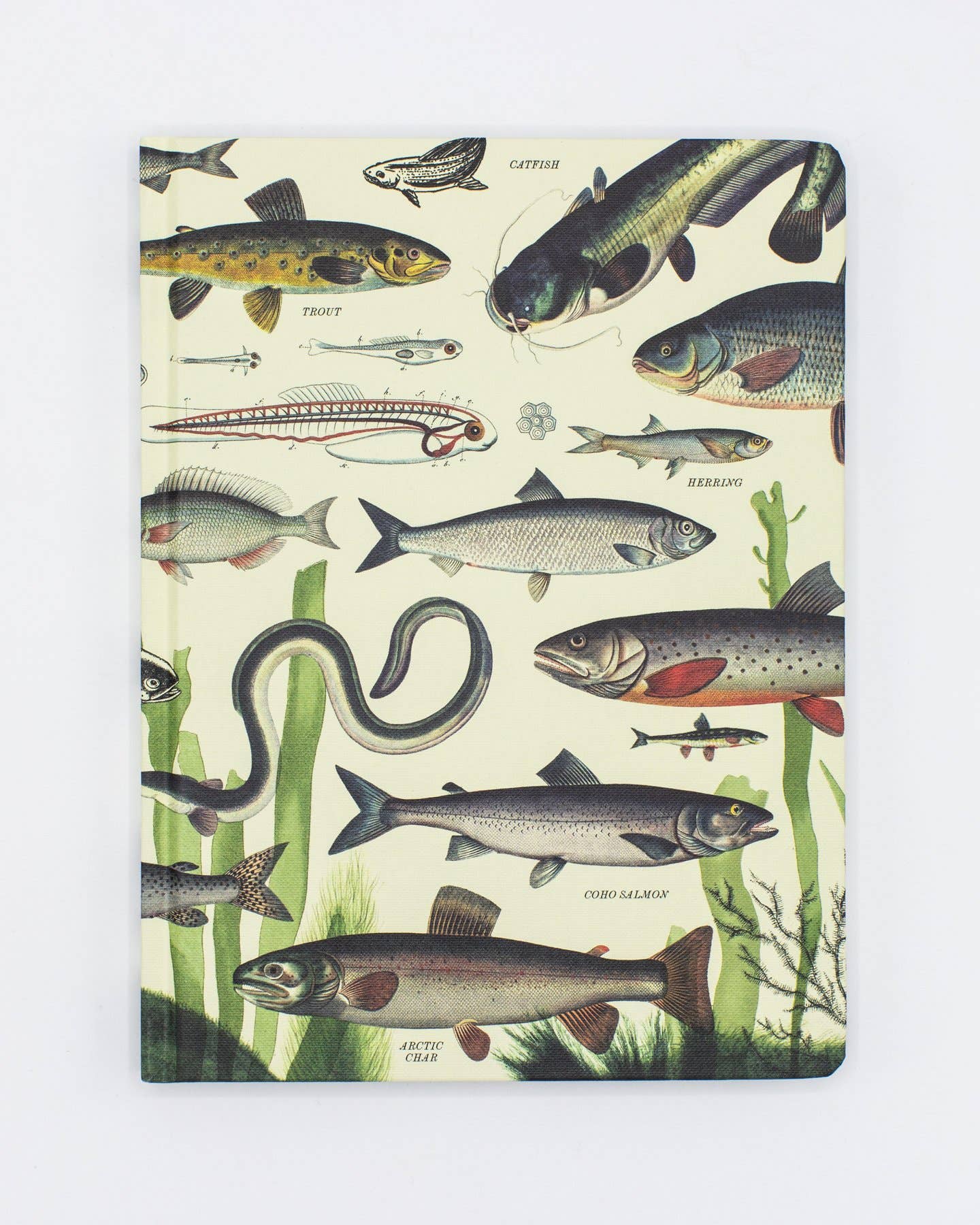 Freshwater Fish Hardcover Notebook