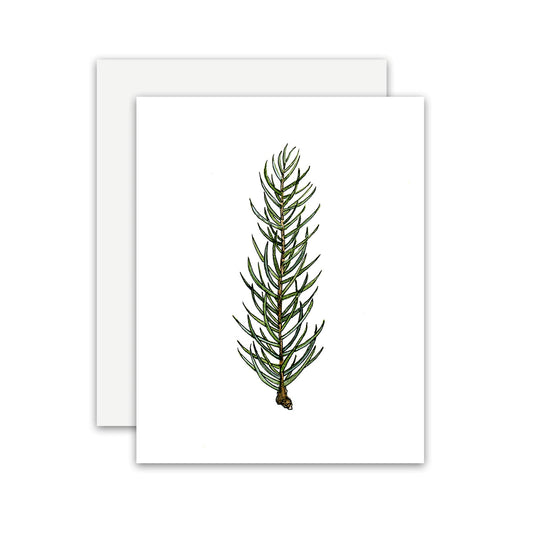 Pine Needle Greeting Card