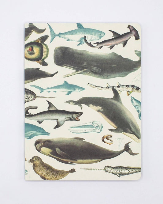 Whales & Seals Softcover Notebook