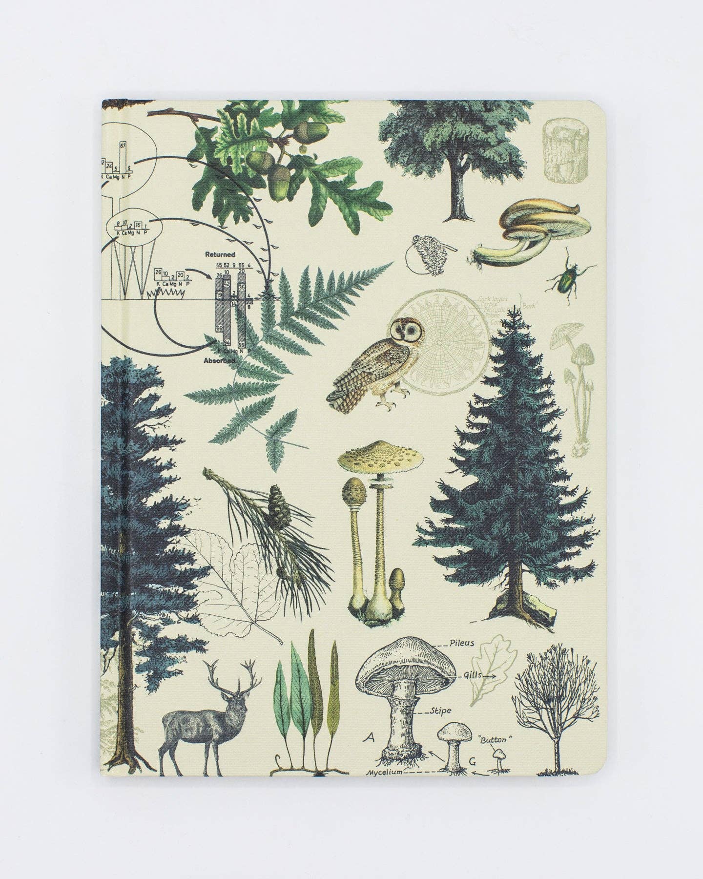 Woodland Forest Hardcover - Blank